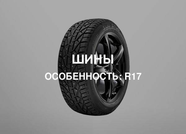 Особенность: R17